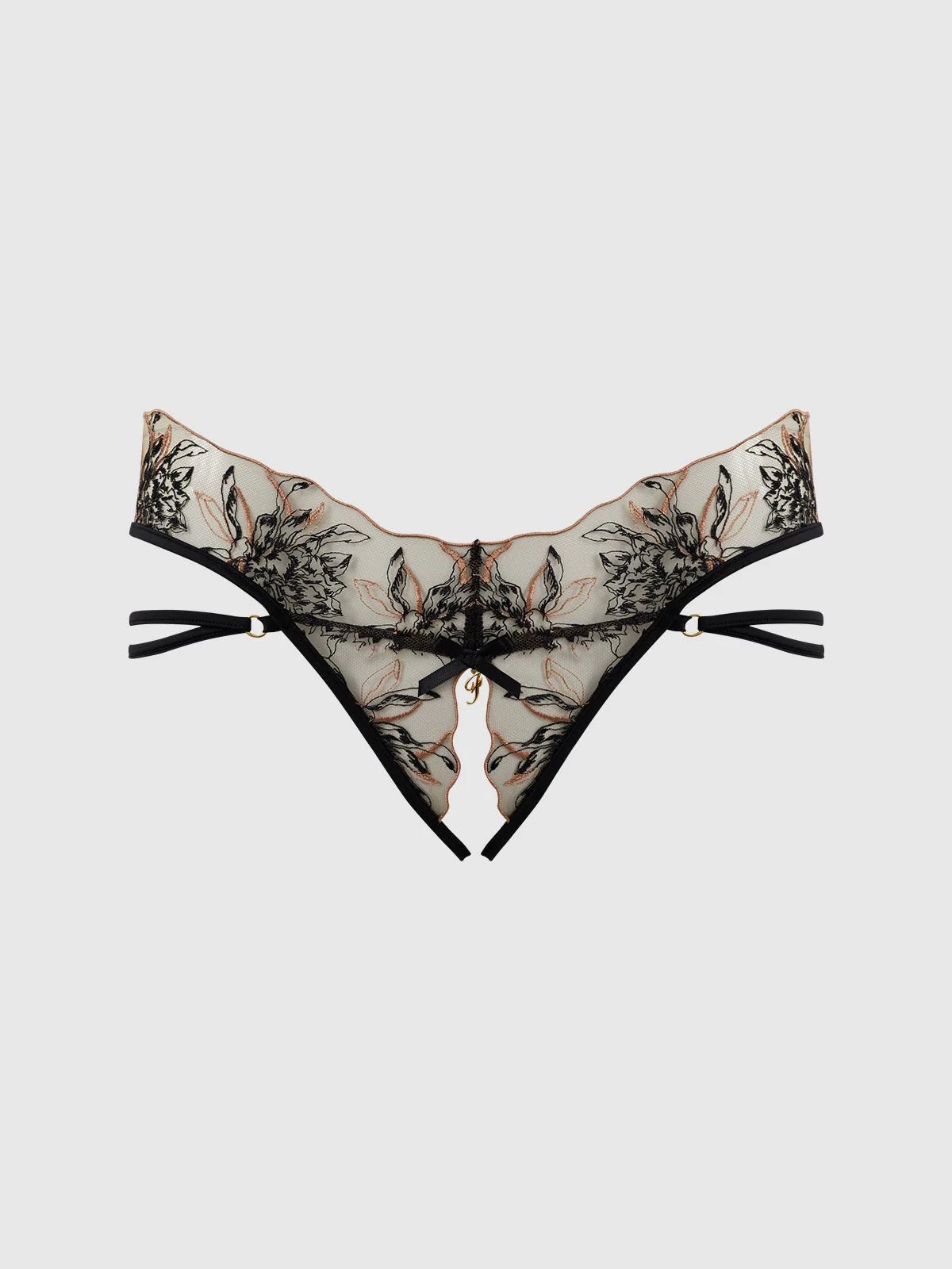 Delfina Embroidered Crotchless & Backless Hipster - Image 7