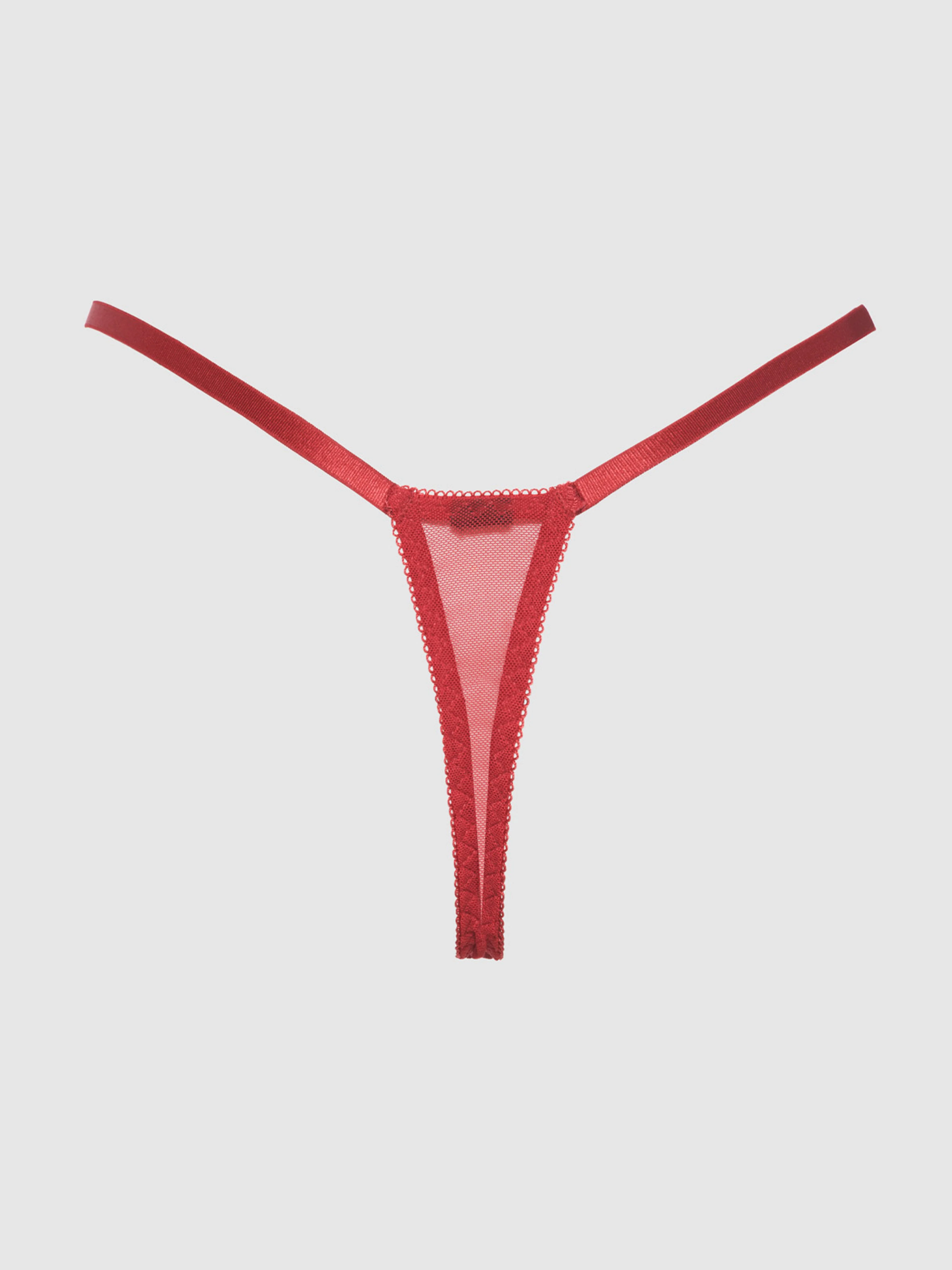Melrose Embroidered Crotchless Thong - Image 5