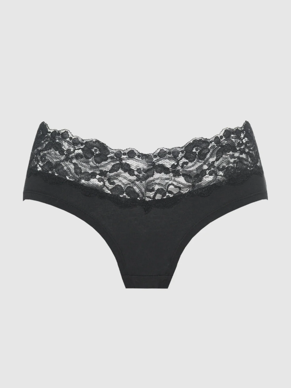 Bridget Cotton & Lace Hipster - Image 4
